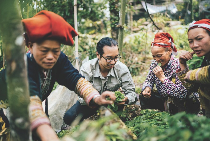 Hoài Tiến cùng bà con dân bản hái lá dược liệu trong chuyến công tác lên Lào Cai năm 2018. Ảnh: Nhân vật cung cấp