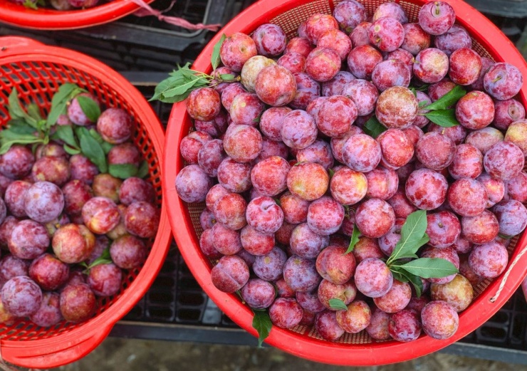 Trốn nóng ở Mai Châu - &#39;nàng thơ&#39; vùng Tây Bắc - 15