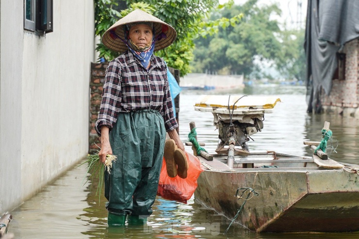 Làng thành 'ốc đảo', người dân nấu cơm trên biển nước - 8