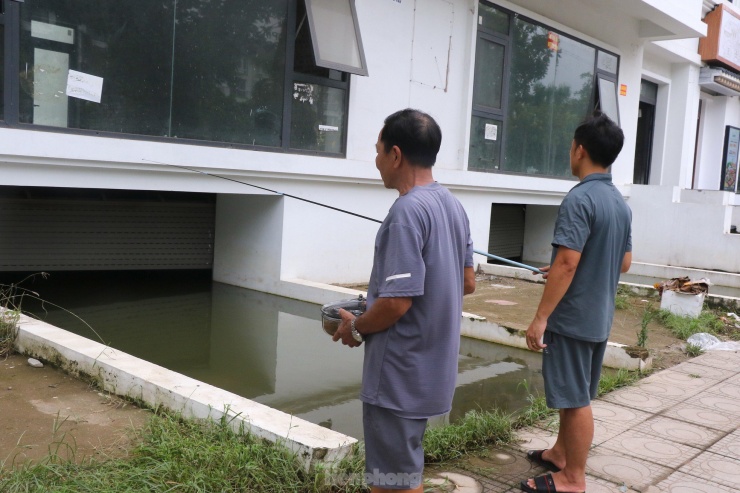 Ngoài cá, nòng nọc bơi lội, khu vực hầm này còn là nơi trú ẩn của muỗi và chỗ đổ rác của không ít hộ dân.