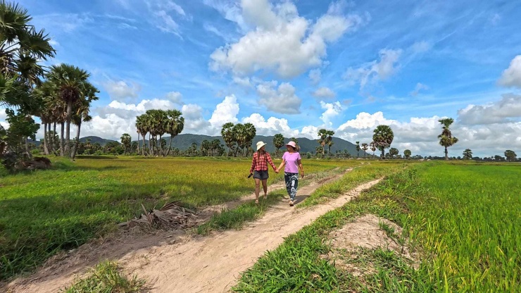 Từ Tây Nguyên đi tiếp về miền Tây, Cần Thơ, Bạc Liêu, An Giang, Tây Ninh…&nbsp;