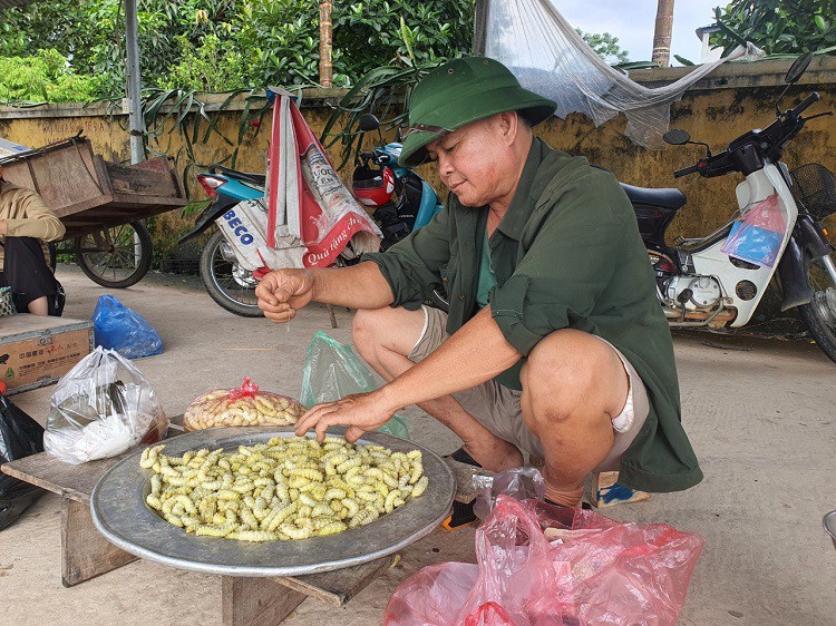 Mỗi ngày ông Kế bán được từ vài chục cân đến cả tạ tằm lá sắn.