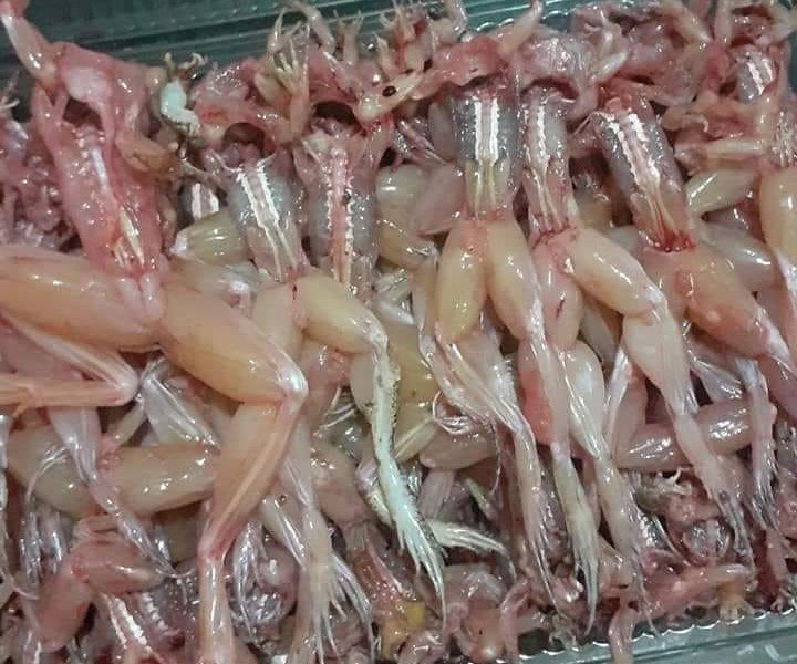 Với loại nhái đã làm sạch da, bỏ đầu, giá bán lên đến 200.000 đồng/kg.