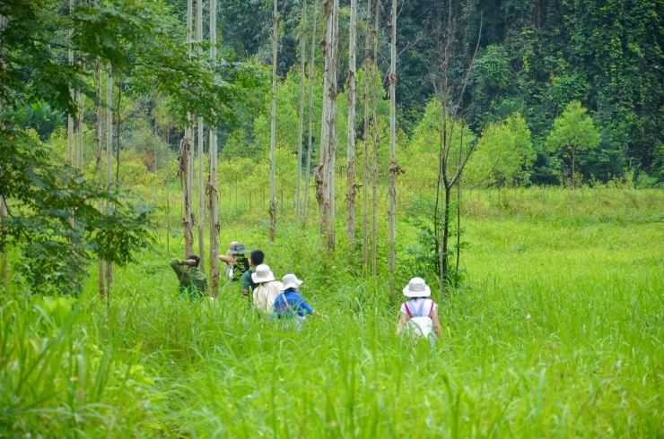 Màu xanh mướt mắt của hành trình này khiến nhiều tín đồ trekking thích thú.