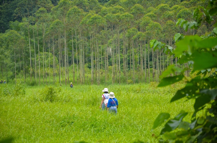 Trải nghiệm đi bộ giữa bao la núi đồi, cỏ cây.