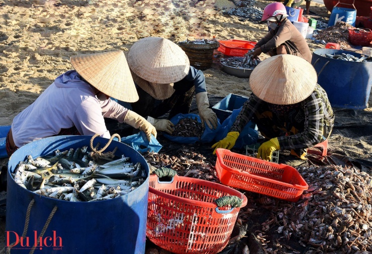 Du khách mê mẩn đón bình mình ở chợ cá Tam Tiến - 11