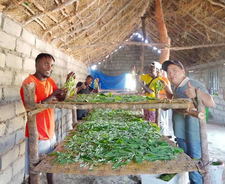 Các học viên thuộc team Quang Linh Vlog sau khi hoàn thành khoá học về nuôi tằm lá sắn do ông Thắng đảm nhận đã mang trứng tằm sang châu Phi để nuôi thử nghiệm.