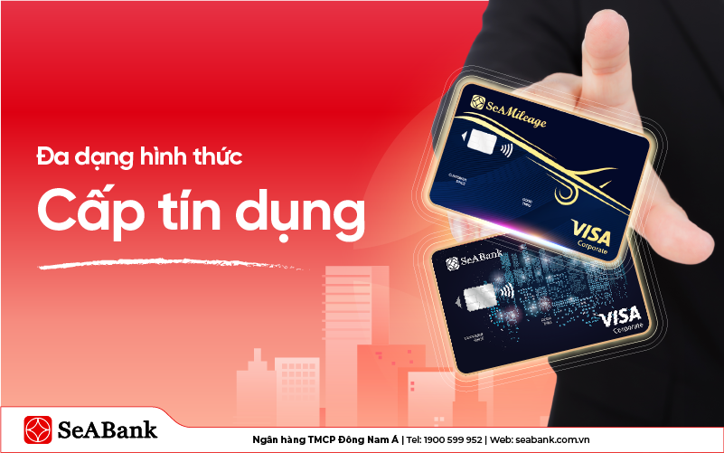 SeABank cung cấp đa dạng hình thức cấp tín dụng hỗ trợ doanh nghiệp tiếp cận nguồn vốn an toàn