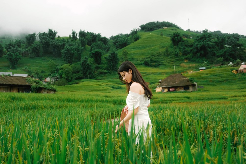 Sa Pa mùa lúa xanh rì "hớp hồn" du khách - 9