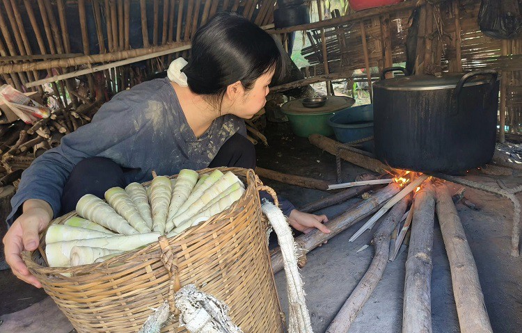 Để măng ngon nhất, sau khi lấy từ rừng về, chị Thuỷ mang đi luộc luôn để giữ độ giòn, ngọt. (Ảnh: Linh Nguyễn).