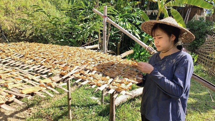 Măng nứa rừng phơi nắng tự nhiên đang được bán trên thị trường với giá từ 300-450 nghìn đồng/kg.