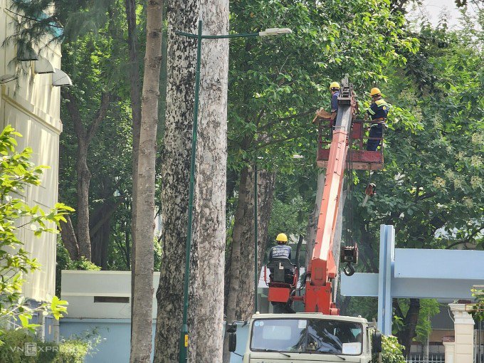 Nhân viên cây xanh đang cắt nhánh cây ở khu vực xảy ra sự cố, sáng 9/8. Ảnh:&nbsp;Đình Văn