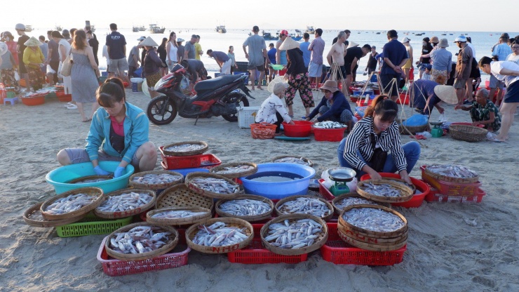 Hải sản la liệt trên bãi biển Mân Thái tạo nên nét đẹp cho biển Đà Nẵng mỗi buổi sáng sớm.