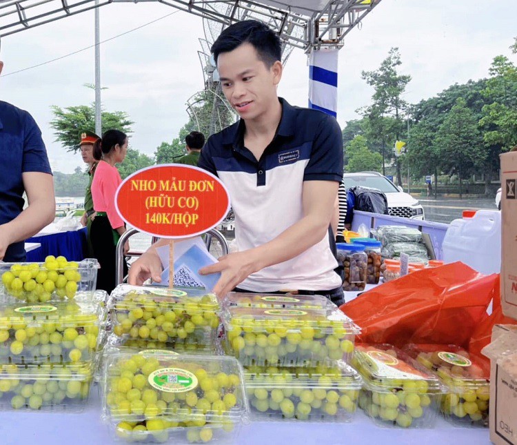 Nho của vườn nhà anh Lợi thu được đến đâu bán hết đến đó với giá từ 200-300 nghìn đồng/kg. (Ảnh: Lý Making).