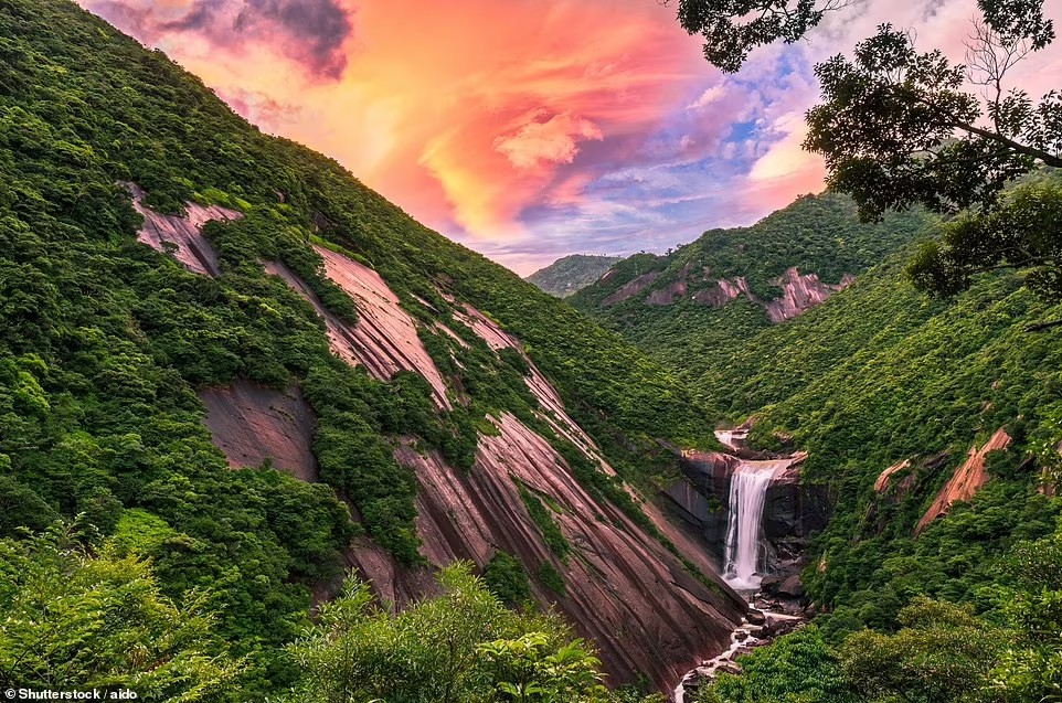 Công viên quốc gia Yakushima nằm trên một hòn đảo ngoài khơi bờ biển phía nam Nhật Bản, nổi tiếng với cây tuyết tùng cổ thụ và thác Senpiro no taki cao 60m. Đây là nơi mang lại nguồn cảm hứng cho tác phẩm “Công chúa Mononoke” – một bộ phim hoạt hình nổi tiếng của Studio Ghibli.