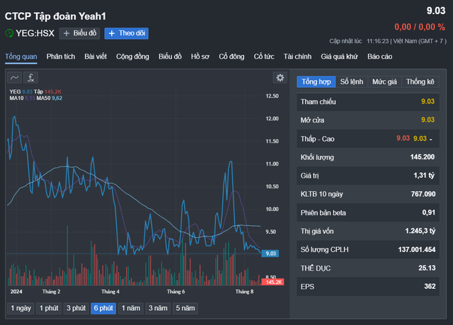 Biến động cổ phiếu YEG từ đầu năm 2024 đến nay Nguồn: Fireant