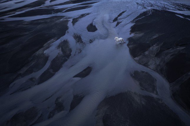 Một con ngựa Iceland băng qua bãi biển cát đen. Ảnh: Drew Doggett.