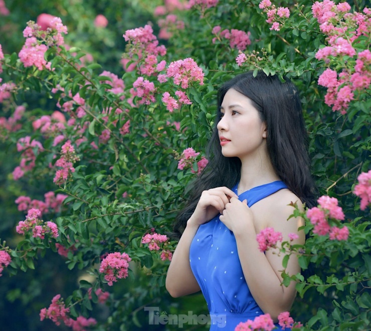 Cách trung tâm Hà Nội khoảng 10 km, con đường hoa tường vi nằm trong công viên thực vật cảnh Việt Nam ở xã Tam Hiệp (huyện Thanh Trì) cũng là một trong những điểm đến được nhiều bạn trẻ yêu thích vào dịp cuối tuần.