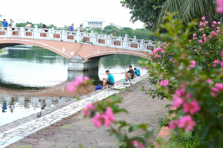 Thời điểm đầu tháng 7, giữa tháng 8 hằng năm, hoa tường vi bắt đầu đua nở, bất kỳ du khách nào đến đây cũng muốn hoà mình vào giữa khung cảnh đầy lãng mạn này.