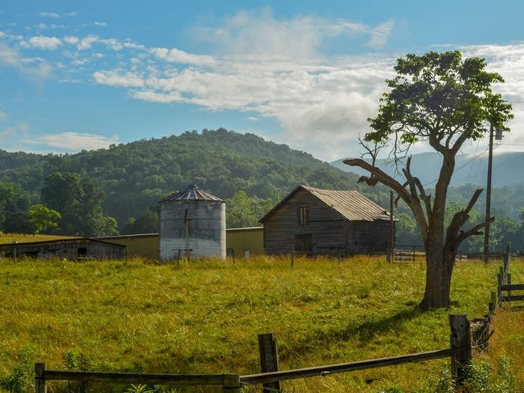 Được biết, những người con này được ông&nbsp;Forrest nuôi dạy khá nghiêm khắc. Mặc dù gia đình giàu có nhưng họ vẫn phải đi làm thêm ở trang trại và tự làm việc nhà để có tiền tiêu vặt.
