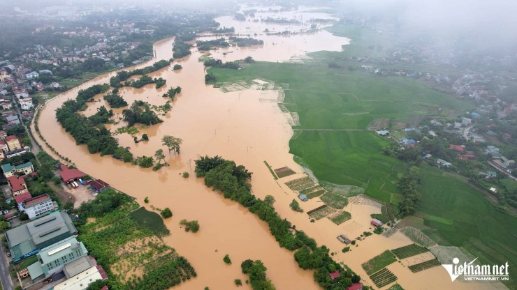 Khoảng 360ha hoa màu bị ảnh hưởng do mưa lũ. Ảnh: A Cương 