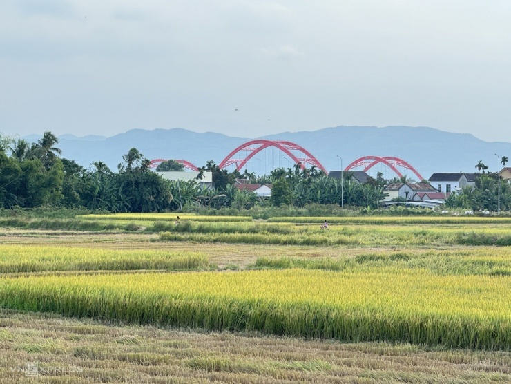 Cầu vòm thép trên sông Trà Khúc sau hai năm thi công - 10