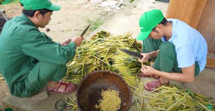 Người dân Tây Bắc thường săn sâu chít từ tháng 11 năm trước đến cuối tháng 2 năm sau. Thời điểm này, sâu chít thường béo ngậy và đạt kích thước lớn. Ảnh: Thợ rừng