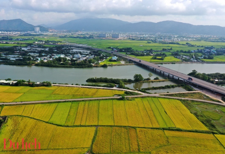 Mùa thu vàng mê hoặc du khách trên cánh đồng lúa chín miền Trung - 6