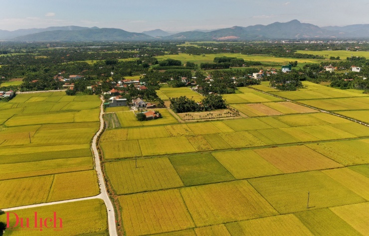 
Cánh đồng mùa lúa chín là nơi lưu giữ nhiều giá trị tinh thần, nhiều kí ức ngọt lành, no ấm. Và biết đâu một ngày, những đứa con xa làng, gặp lúc chênh chao giữa dòng đời, tâm hồn của họ sẽ được vỗ về nâng đỡ từ chính cánh đồng quê mùa lúa chin.