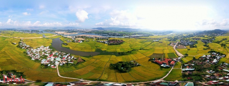 Mùa thu vàng mê hoặc du khách trên cánh đồng lúa chín miền Trung - 11