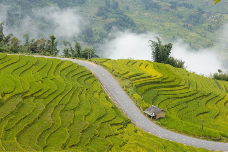 Khúc cua trên tuyến đường từ thành phố Lào Cai đến xã Y Tý (huyện Bát Xát, tỉnh Lào Cai) gây "bão" mạng vì khung cảnh siêu thực, đẹp như tranh