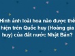 15 câu đố tưởng dễ nhưng đáp án chưa chắc như bạn nghĩ