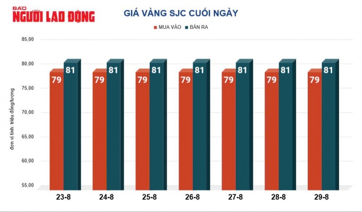 Giá vàng miếng SJC ổn định mốc 81 triệu đồng trong 1 tuần qua