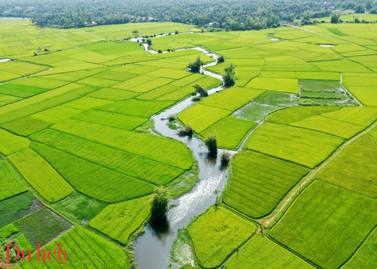 “Thung lũng đồng lúa’ đẹp nao lòng ở thị xã Hoài Nhơn - 3