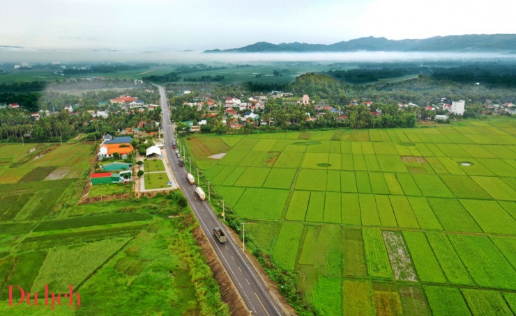 “Thung lũng đồng lúa’ đẹp nao lòng ở thị xã Hoài Nhơn - 5