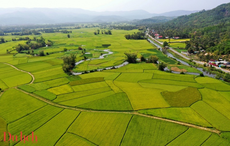 Ruộng lúa trải rộng mênh mông, uốn lượn vòng cung theo eo biển làng chài Tam Quan Bắc tạo nên “cánh đồng lúa vầng trăng khuyết” hiếm có ở miền Trung. Đứng trên đồi cao, du khách dễ dàng chiêm ngưỡng những con đường làng thẳng tắp như dấu gạch nối nồng nàn chạy xuyên qua miền quê thơ mộng nơi đây.