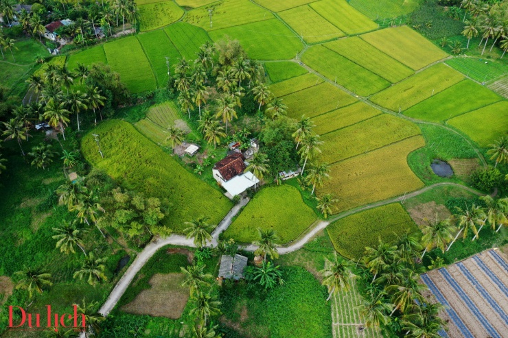 Vị chuyên gia tin tưởng trong vòng 5 năm tới, đường hàng không, đường bộ và đường ven biển qua thị xã Hoài Nhơn sẽ được kết nối liên thông thuận lợi. Thời điểm này, Bình Định cần chọn thương hiệu điểm đến; chuyển từ tư duy du lịch điểm thành du lịch vùng để đưa vùng đất nơi đây ngày càng phát triển.