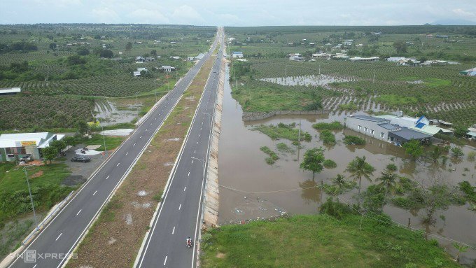 Nước ngập vườn thanh long ven đường 719B tại thôn Phú Sơn (xã Hàm Mỹ), ngày 29/8. Ảnh: Việt Quốc