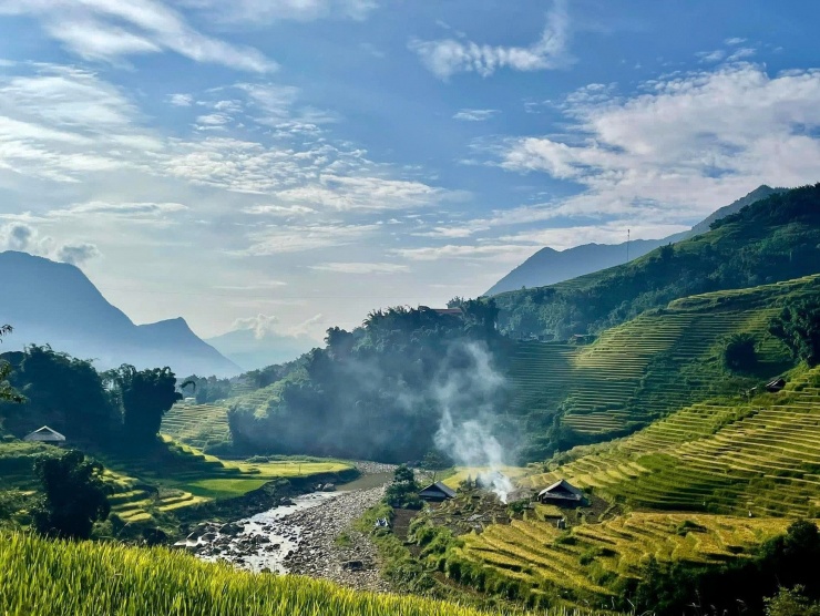 Khung cảnh mùa lúa chín ở Tả Van thu hút du khách. Ảnh: Vi vu Tây Bắc