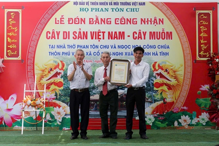 Lễ đón bằng công nhận Cây Di sản Việt Nam.