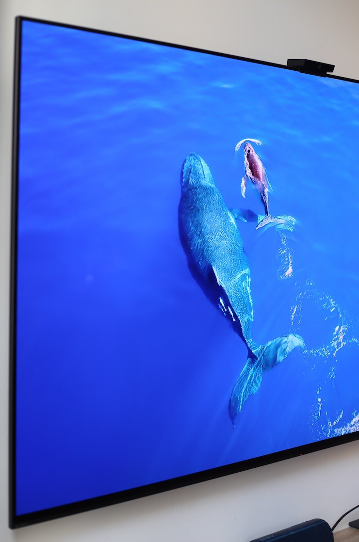 Bộ đôi TV OLED55-inches đáng xuống tiền nhất hiện nay - 2