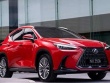 Triệu hồi hơn 630 xe Lexus vì có nguy cơ cháy nổ