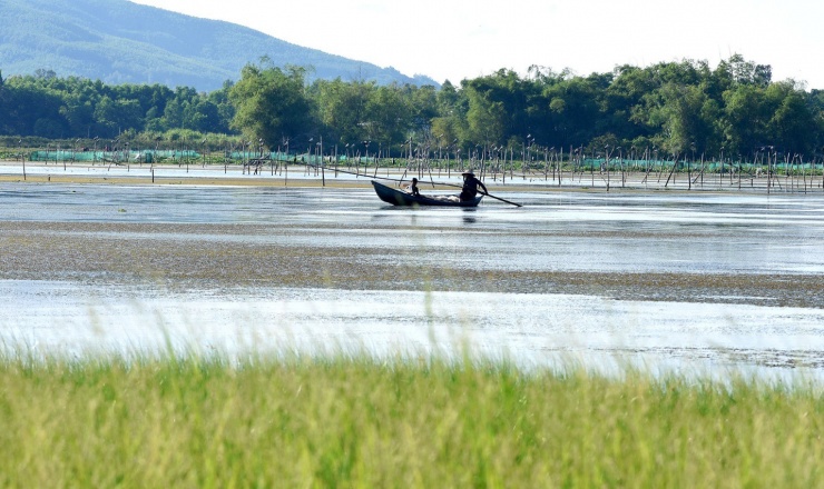 ‘Thảm rêu khổng lồ’ tạo nên bức tranh kỳ ảo trên đầm An Khê - 10