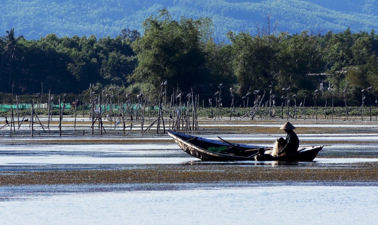 ‘Thảm rêu khổng lồ’ tạo nên bức tranh kỳ ảo trên đầm An Khê - 17