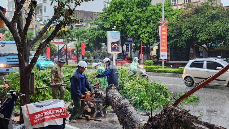 Ngay trong sáng 6-9, nhân viên công ty cây xanh đã tới cắt cây, dọn đường cho phương tiện qua lại