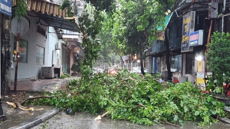 Nhiều cành cây gãy đổ chắn ngang một con phố từ hướng đường đại lộ Lê Lợi vào trong