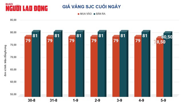 Giá vàng hôm nay 6-9: Tăng dữ dội - 2