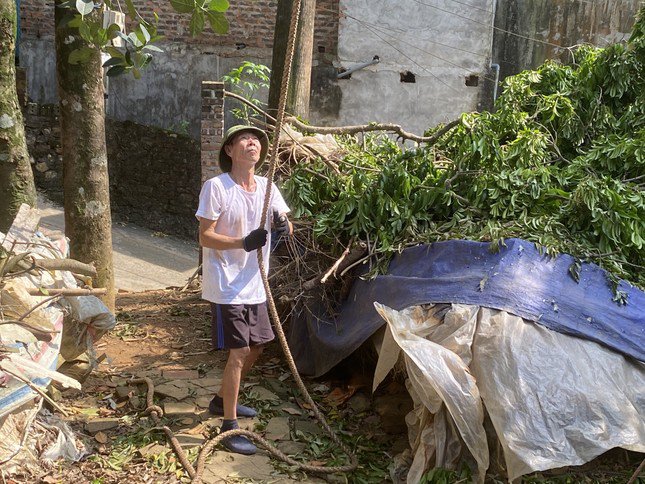 Ông Vương Danh Sai đang giữ dây thừng cho người hàng xóm là ông Tống Nguyên Thế leo lên cây sấu để cắt, tỉa, chặt những cành có nguy cơ gãy, đổ cao.