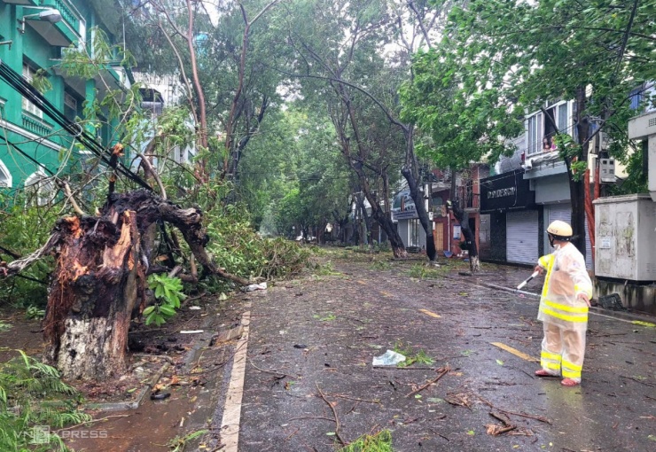 Cây trên đường Nguyễn Đức Cảnh, quận Lê Chân ở trung tâm thành phố Hải Phòng tan hoang vì gió quật. Ảnh: Lê Tân