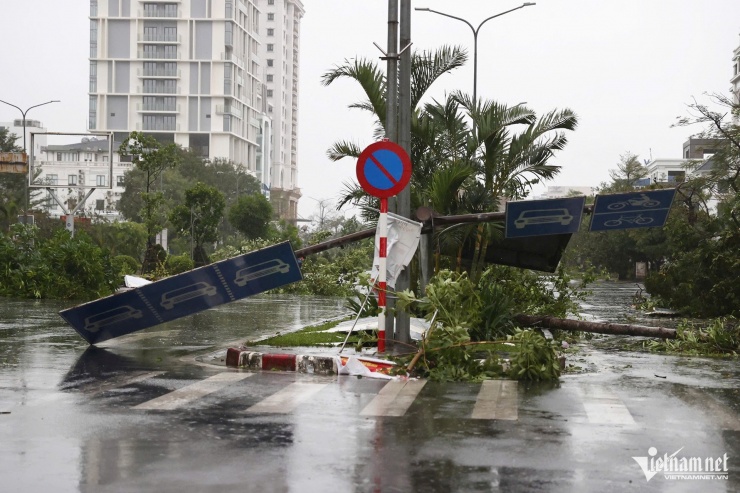 Đường Lê Hồng Phong (Hải Phòng) ngổn ngang nhiều cây đổ. Vách kính các cửa hàng, nhà dân bị gió quật rơi xuống đất vỡ vụn.